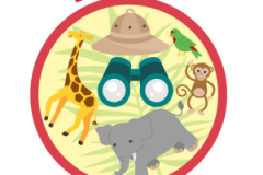 Birthday-Parties-Circles-Safari-300x300-1